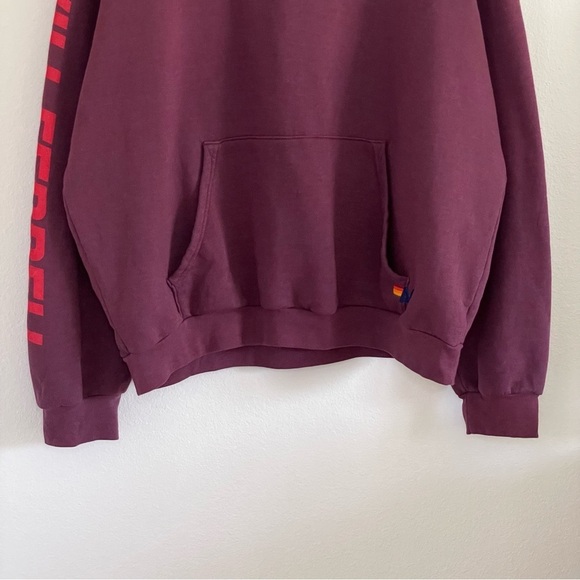 Aviator Nation Will Ferrell Bolt Smiley Relaxed Pullover Hoodie Plum Large - Picture 7 of 11